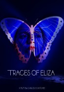 Traces of Eliza